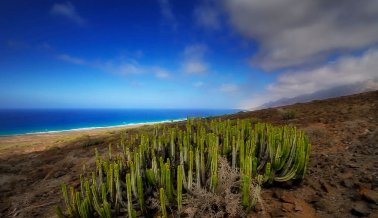 Beste Reisezeit für Kanarische Inseln | Klima, Wetter, Wohin reisen?