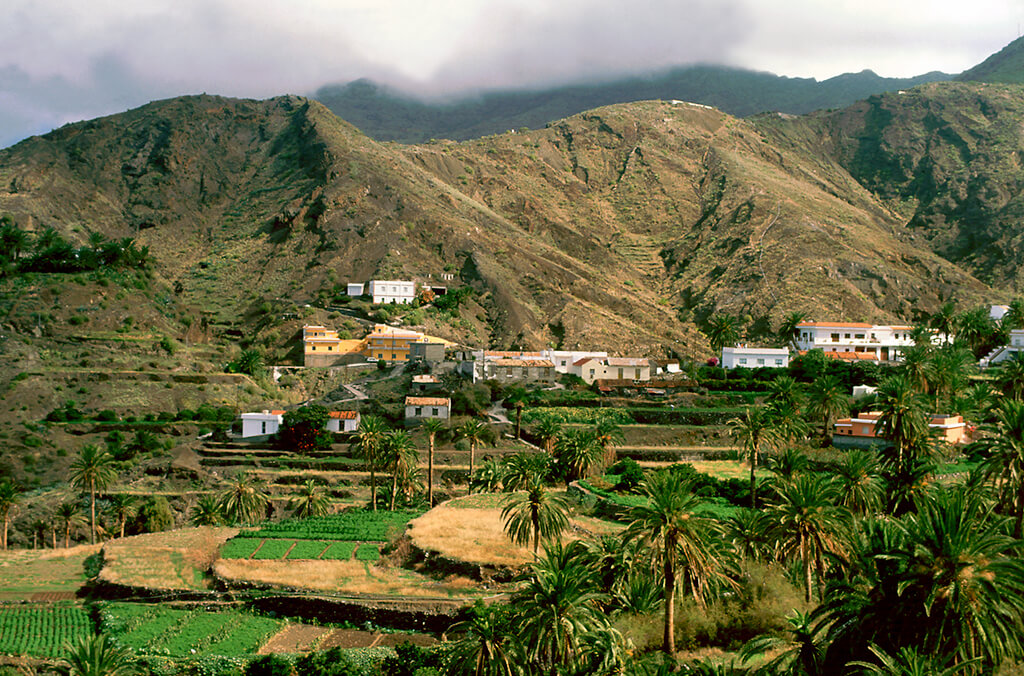 Alojera :  Alojera :