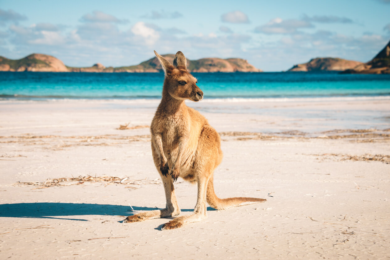 Wetter in Australien im Juli 2025 Klima und Temperatur im Juli Wohin und Wann