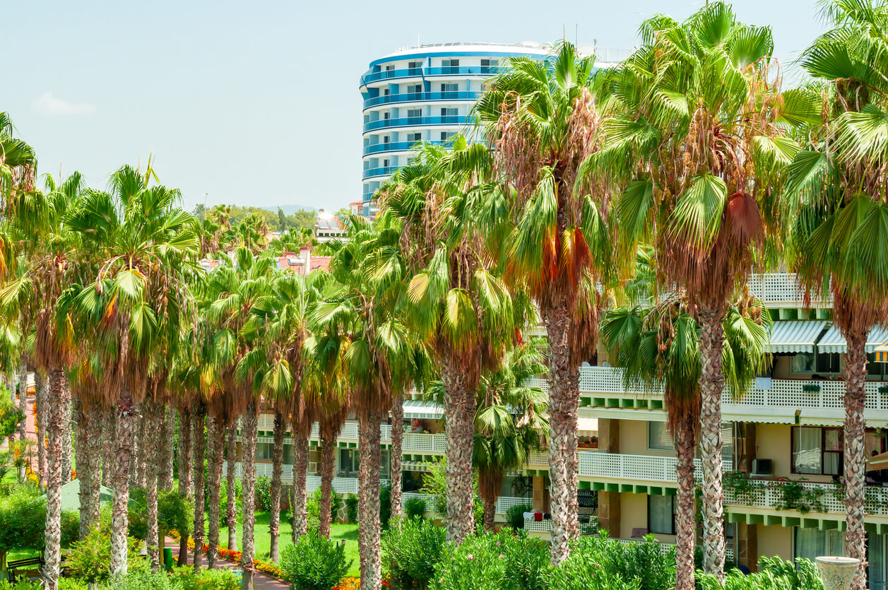 Wetter in Belek im Juli 2025 Klima und Temperatur im Juli Türkei