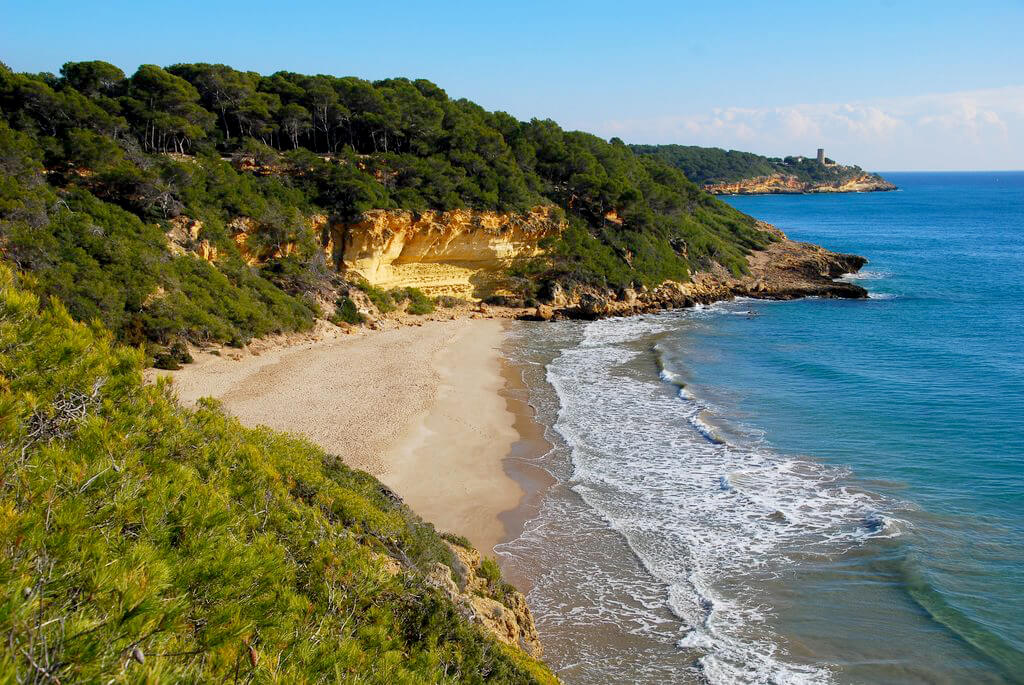 Cala en Bosc :  Cala en Bosc :