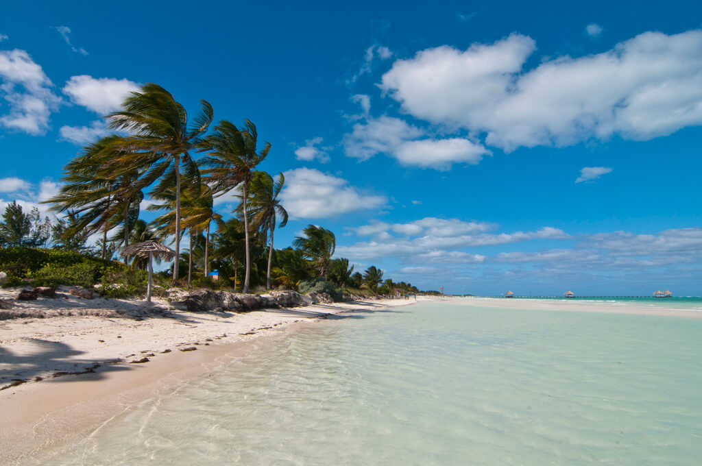 Cayo Guillermo : Cayo Guillermo :