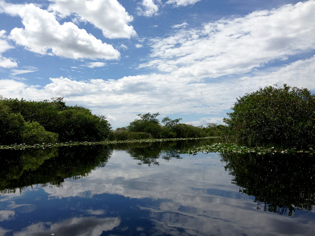Everglades-Nationalpark :  Everglades-Nationalpark :