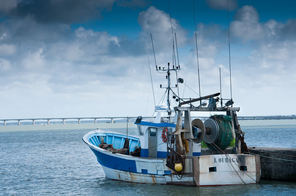 Île d’Oléron :  Île d’Oléron :