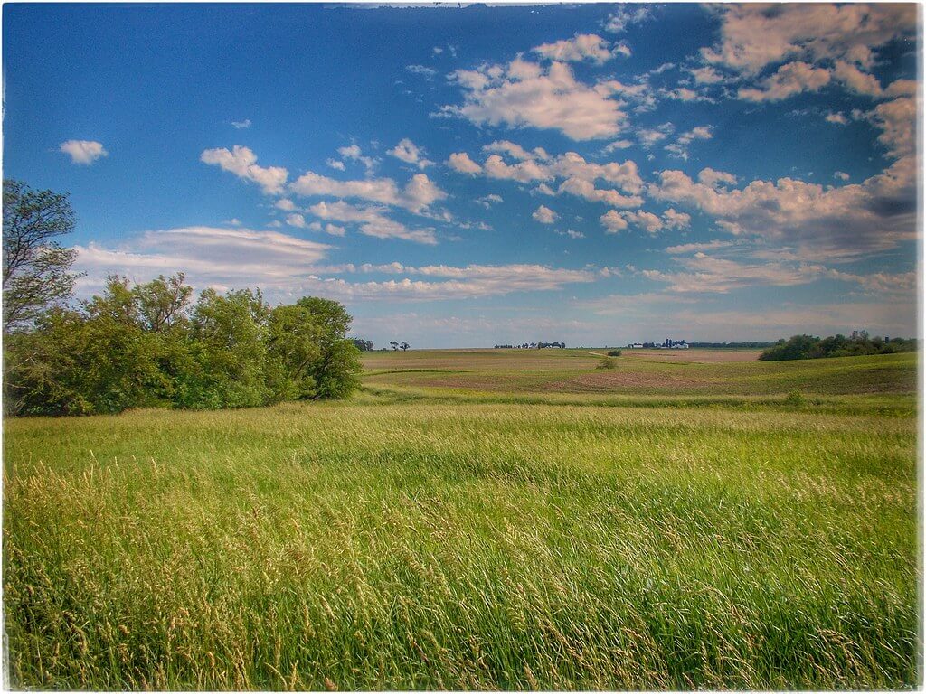 Illinois :  Illinois :