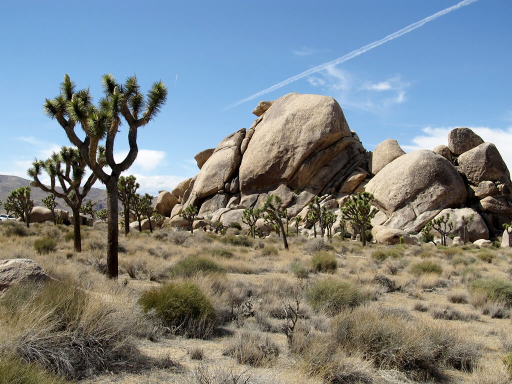 Joshua-Tree-Nationalpark : 