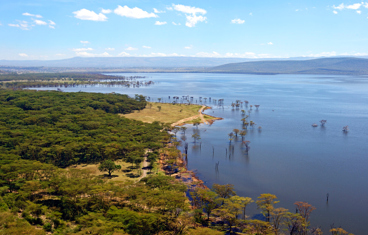 Kenia: Lac Nakuru au Kenya