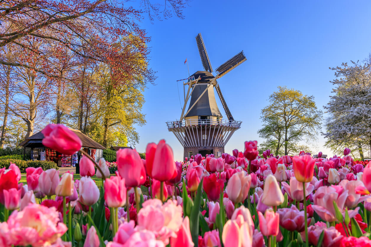 Keukenhof (Stationsweg) :  Keukenhof (Stationsweg) :