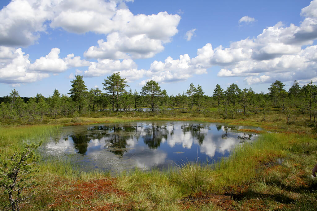 Nationalpark Lahemaa : 