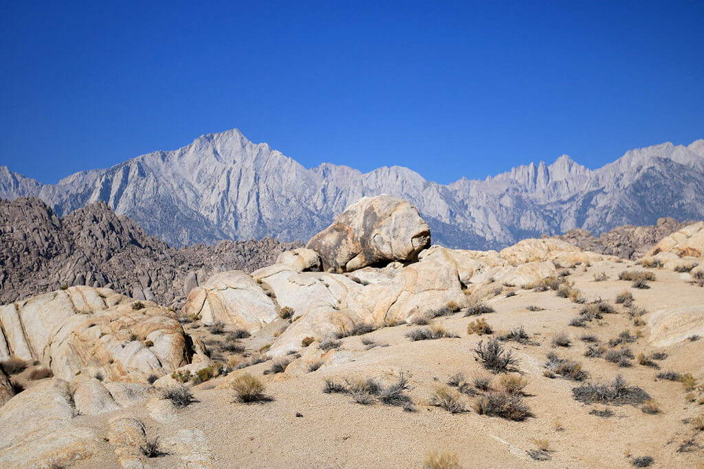 Lone Pine :  Lone Pine :