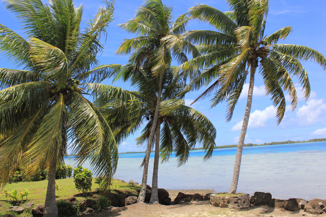 Nūnu'e :  Nūnu'e :