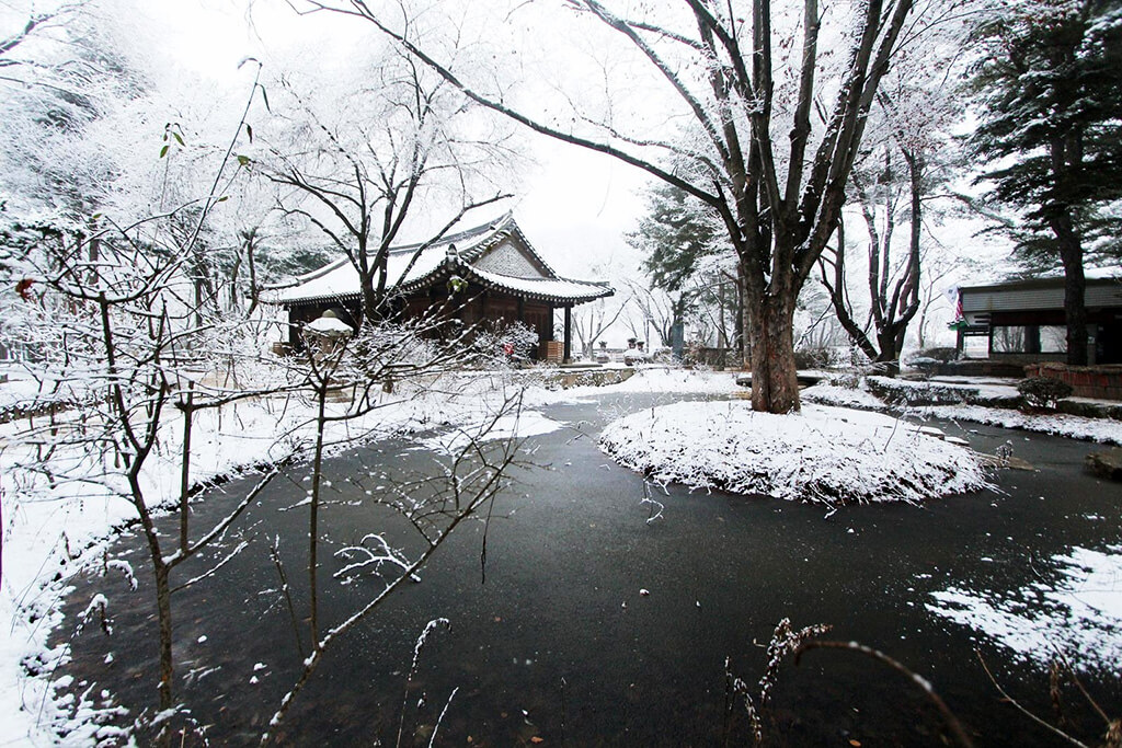 Namiseom (Nami Island) :  Namiseom (Nami Island) :