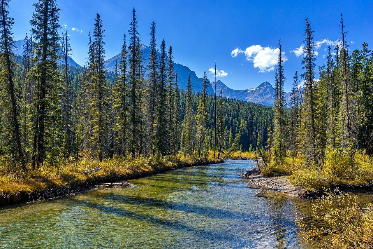 Jasper-Nationalpark : Le parc national de Jasper Jasper-Nationalpark : Le parc national de Jasper