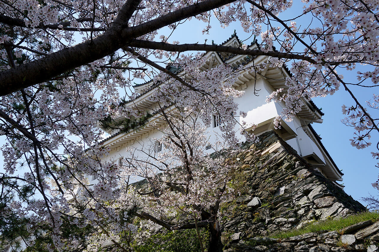 Wakayama : Wakayama Wakayama : Wakayama