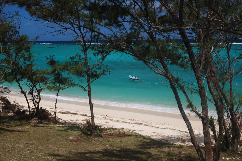 Petit Gabriel : Petit Gabriel :