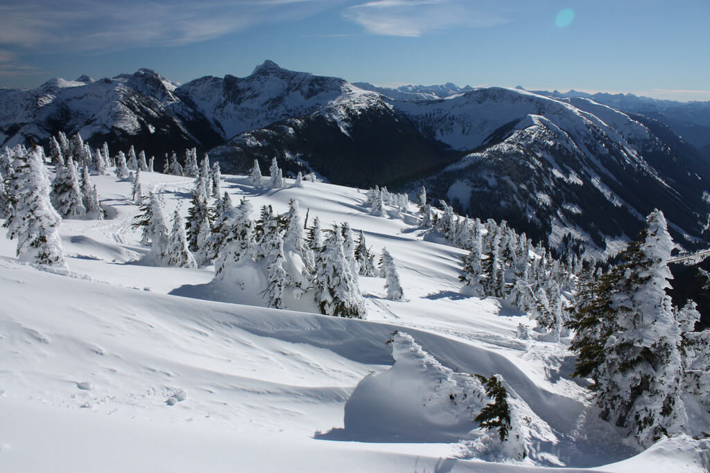 Prince Albert :  Prince Albert :