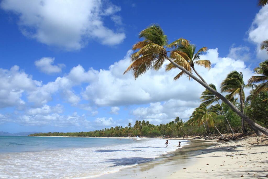 Beste Reisezeit Fur Sainte Anne Klima Und Wetter 3 Monate Zu Vermeiden