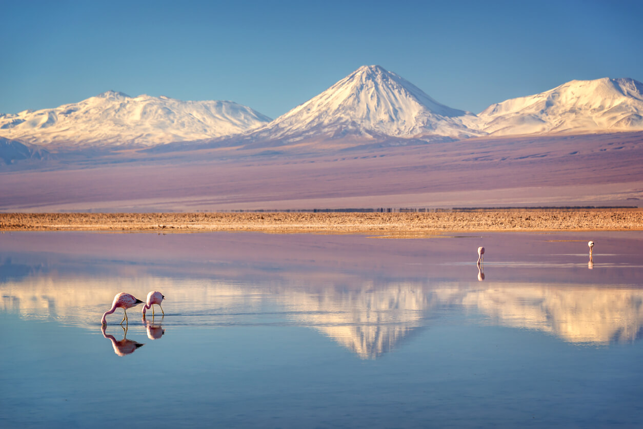 San Pedro de Atacama (Atacama-Wüste) : Salar de Atacama