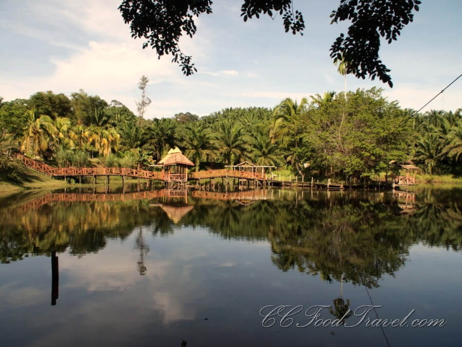 Sandakan :  Sandakan :