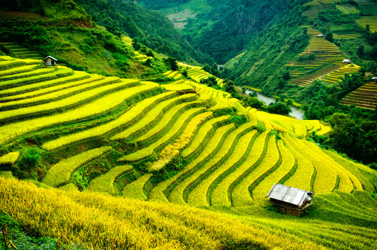Sapa : Mu Cang Chai, Sapa Sapa : Mu Cang Chai, Sapa