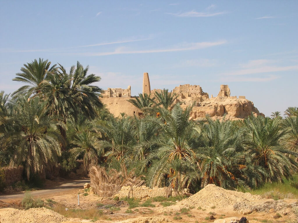 Siwa : 