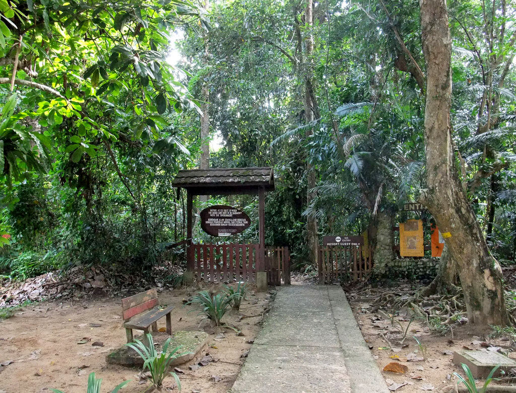 Beste Reisezeit für Taman Negara-Nationalpark | Klima und Wetter. 4