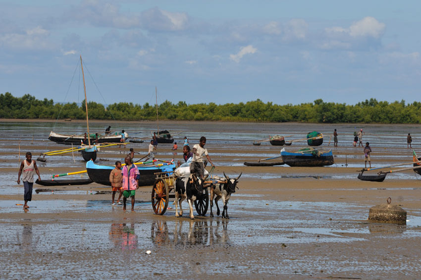 Toliary :  Toliary :