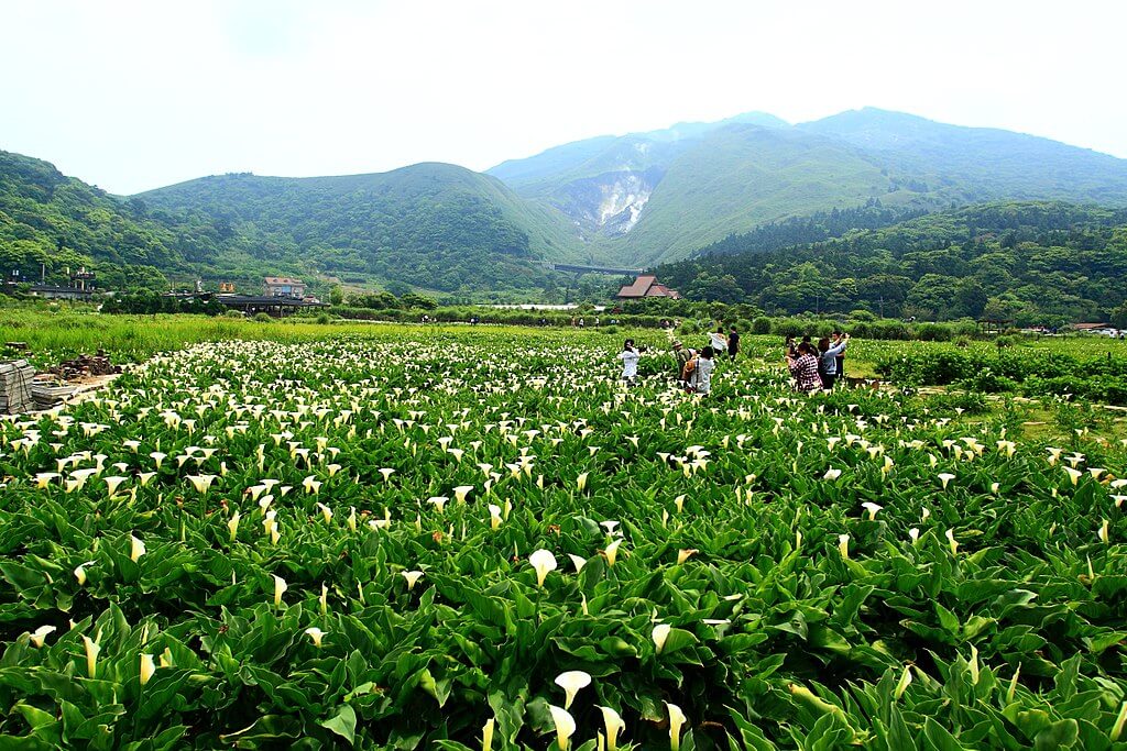 Yangmingshan-Nationalpark :  Yangmingshan-Nationalpark :
